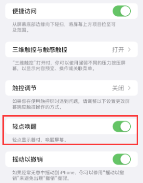 白城苹果授权维修站分享iPhone轻点无法唤醒怎么办 