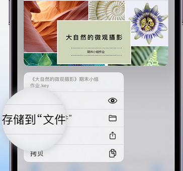 白城apple维修中心分享iPhone文件应用中存储和找到下载文件