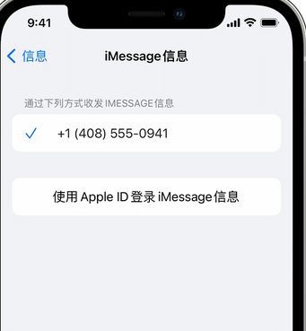 白城apple维修iPhone上无法正常发送iMessage信息 