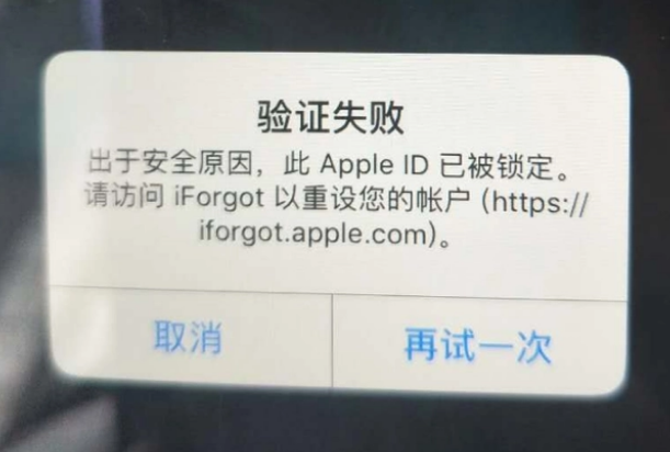 白城iPhone维修分享iPhone上正常登录或使用AppleID怎么办 