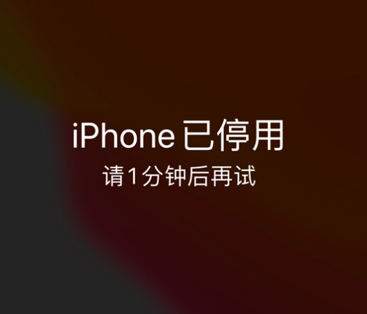 白城苹果手机维修分享:iPhone 显示“不可用”或“已停用”怎么办？还能保留数据吗？ 