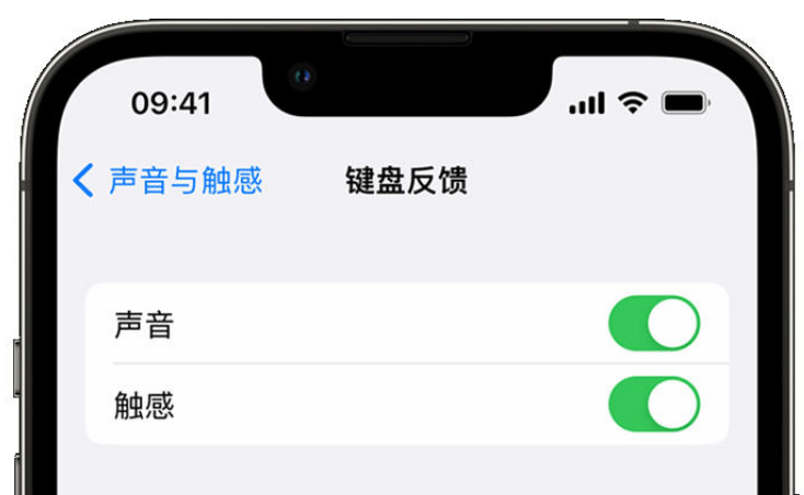 白城苹果手机维修分享iPhone 14触感键盘使用方法 