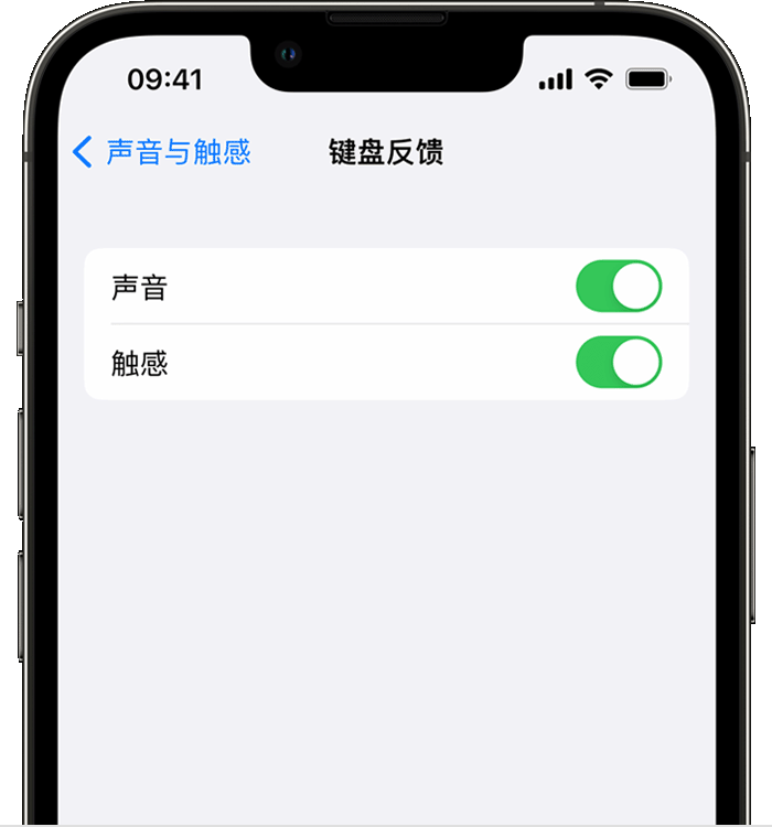 白城苹果14维修店分享如何在 iPhone 14 机型中使用触感键盘 