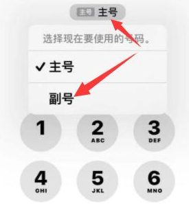 白城苹果14维修店分享iPhone 14 Pro Max使用副卡打电话的方法 