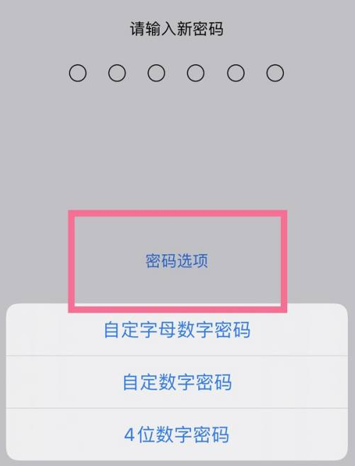 白城苹果14维修分享iPhone 14plus设置密码的方法 