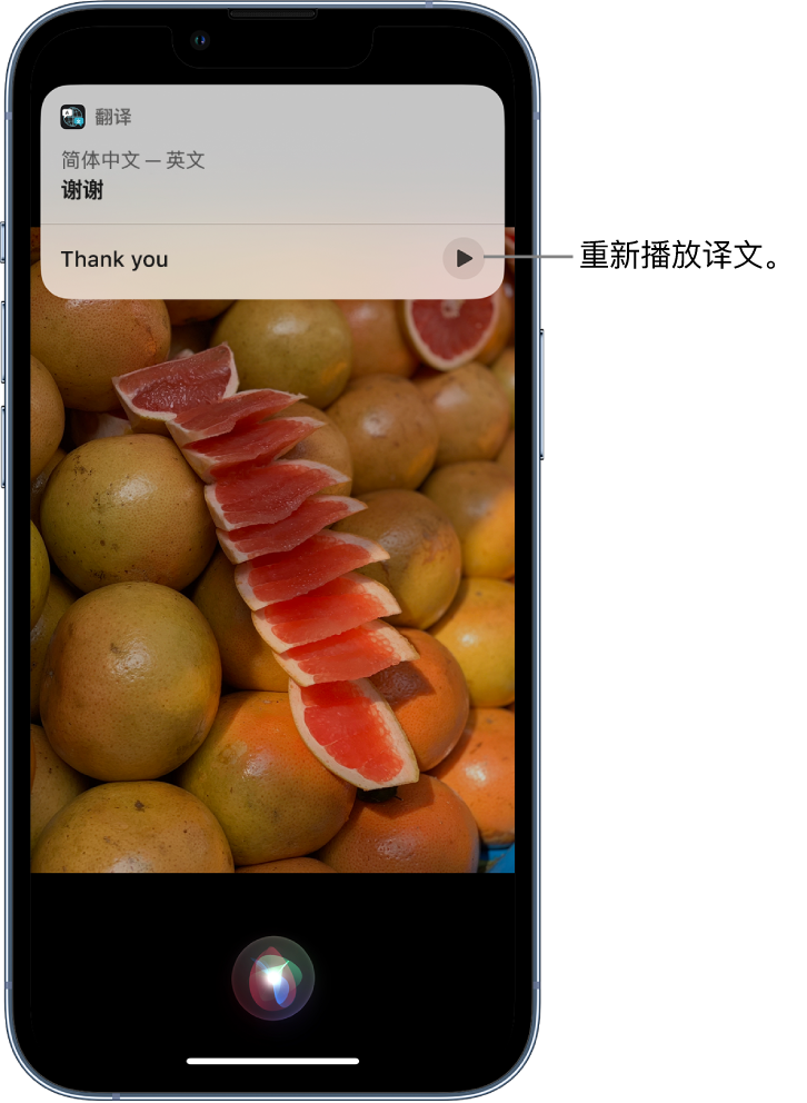 白城苹果14维修分享 iPhone 14 机型中使用 Siri：了解 Siri 能帮你做什么 