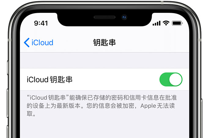 白城苹果手机维修分享在 iPhone 上开启 iCloud 钥匙串之后会储存哪些信息 