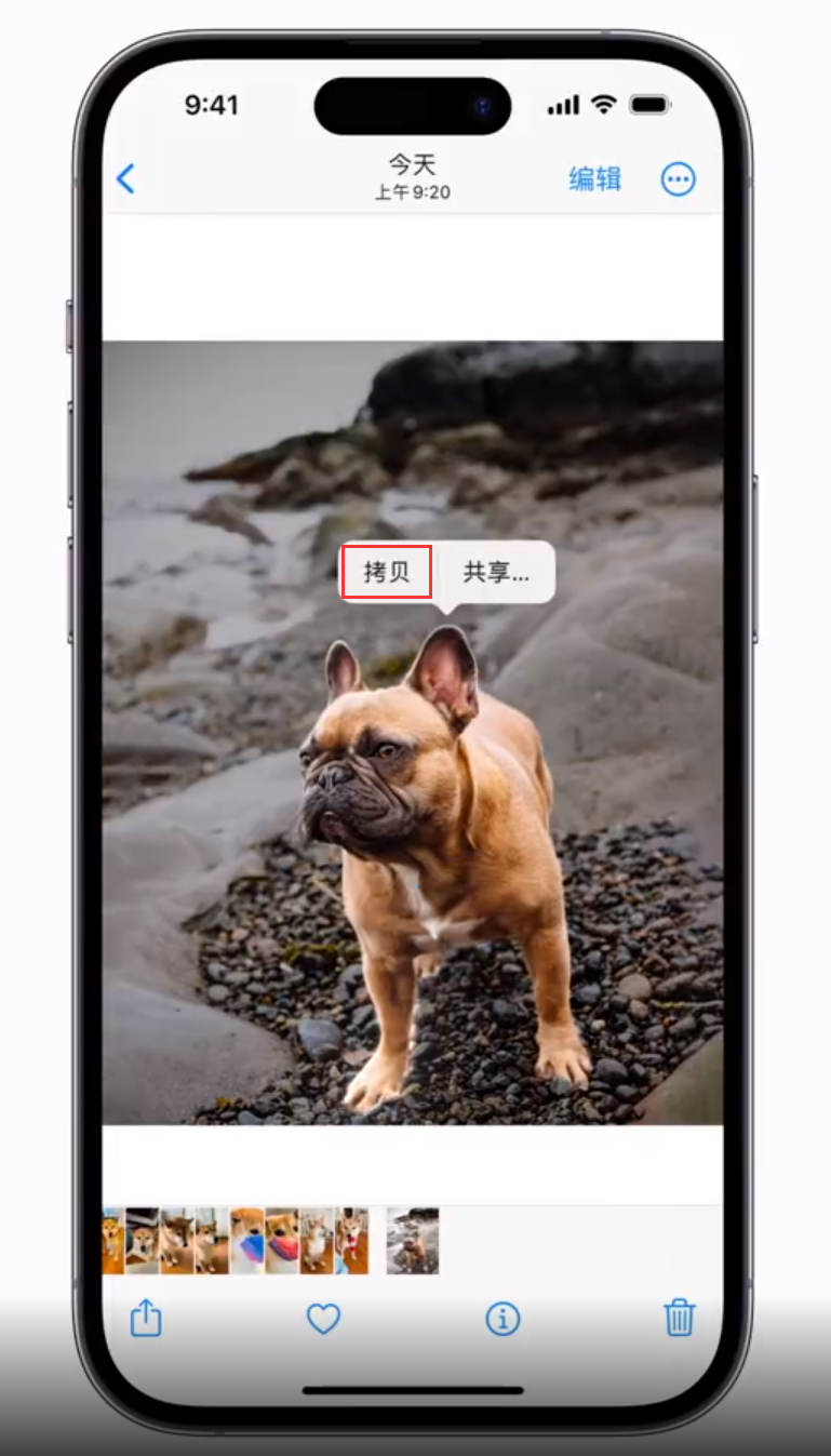 白城苹果手机维修分享 iOS 16 自带一键抠图功能 