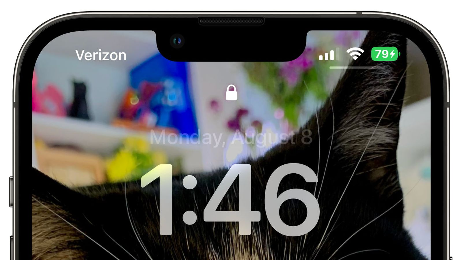白城苹果手机维修分享iOS 16 beta 5 支持状态栏显示电池百分比，如何开启？支持哪些机型 
