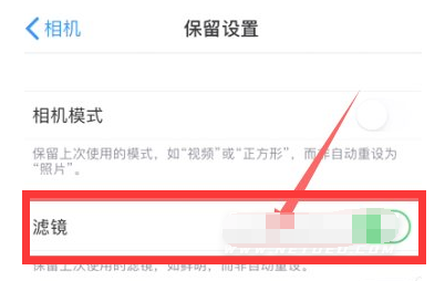白城苹果13维修分享iPhone13拍照有绿点是怎么回事 