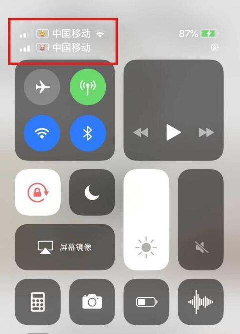 白城苹果手机维修分享为 iPhone 12 双卡设置标签 